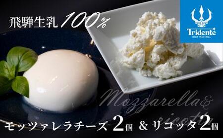 モッツァレラ （1個125g）2個 & リコッタ 2個（1個100g）セット　チーズ モッツァレラ リコッタチーズ 冷蔵  個包装 カプレーゼ パスタ ピザ   前菜 サラダ 低温殺菌 新鮮 生乳 国