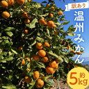 【ふるさと納税】【訳あり】 太陽と潮風を浴びて育った 長崎県時津町産 温州みかん 約5kg 2S～3Sサイズ ご家庭用 柑橘 蜜柑 九州産 長崎県産 果物 フルーツ 送料無料【2024年11月上旬～12月下旬に順次発送予定】