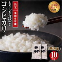 【ふるさと納税】 【令和6年産】 ＼新米／ 無洗米 コシヒカリ 10kg セット ギフト 贅沢 のし対応 福島 ふくしま 田村 贈答 美味しい 米 コメ ご飯 ブランド米 精米したて お米マイスター 匠 食味鑑定士 安藤米穀店