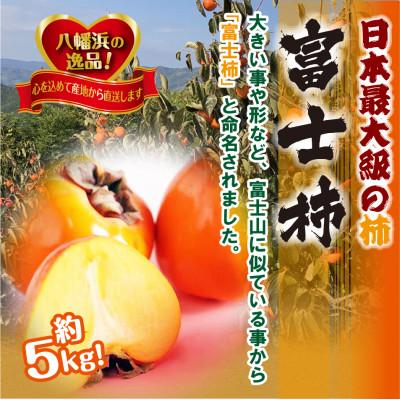 ふるさと納税 八幡浜市 甘さにニッコリ日本最大級の柿「富士柿」約5キロ 【D39-15】