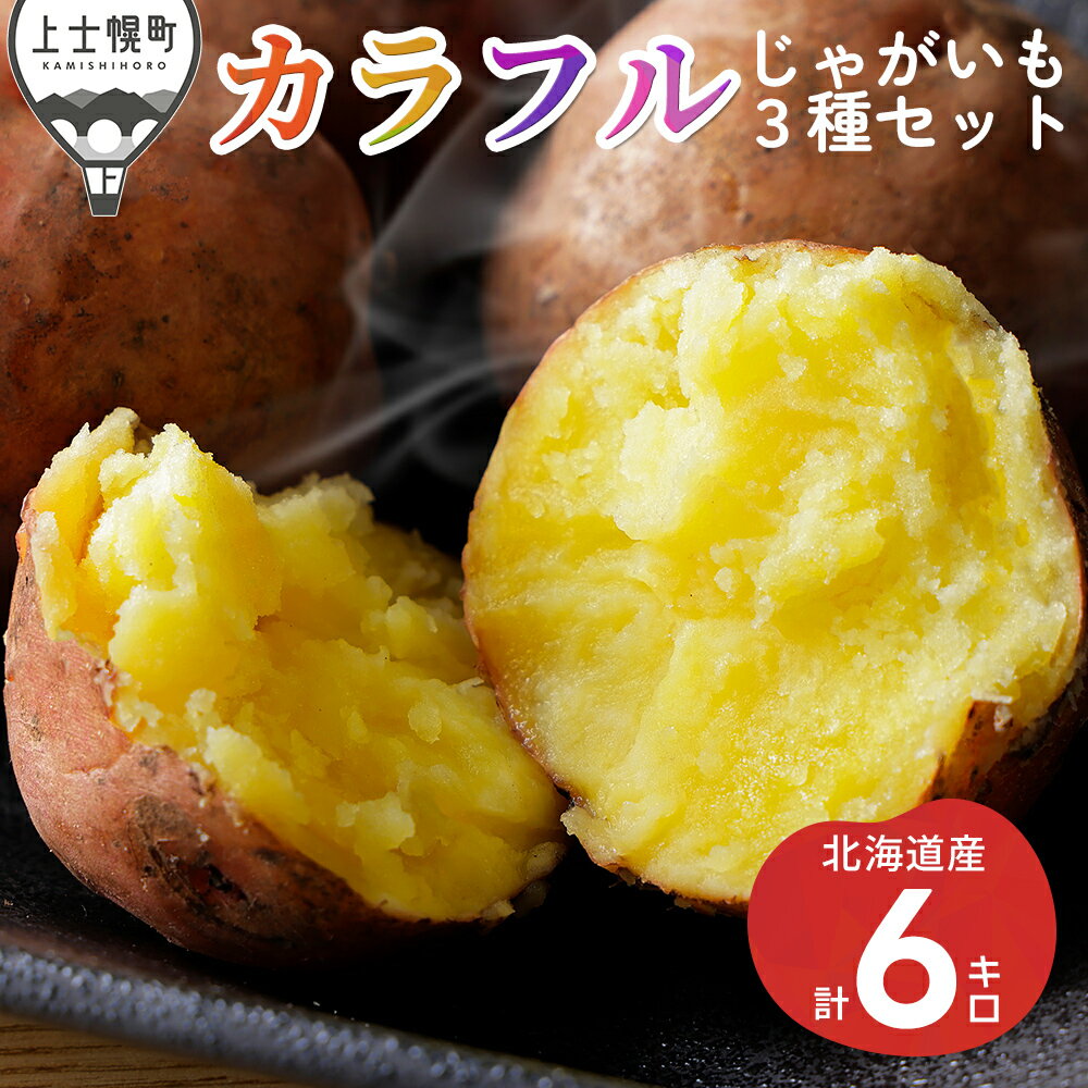 【ふるさと納税】北海道産 カラフル じゃがいも 3種セット 計6kg（2kg×3種） 上士幌町加藤農場 馬鈴薯 芋 イモ 野菜 詰め合わせ おすそ分け レビューキャンペーン対象品 ◆2025年12月配送予定 ※オンライン申請対応