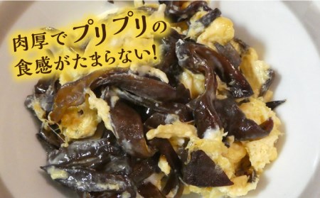 【国産菌床】 肉厚で良質な乾燥きくらげ(15g×4セット)キクラゲ 木耳 きのこファーム《糸島》[AFC003] キクラゲ きくらげ 木耳 乾燥 国産 きくらげ専門店 日本 干し