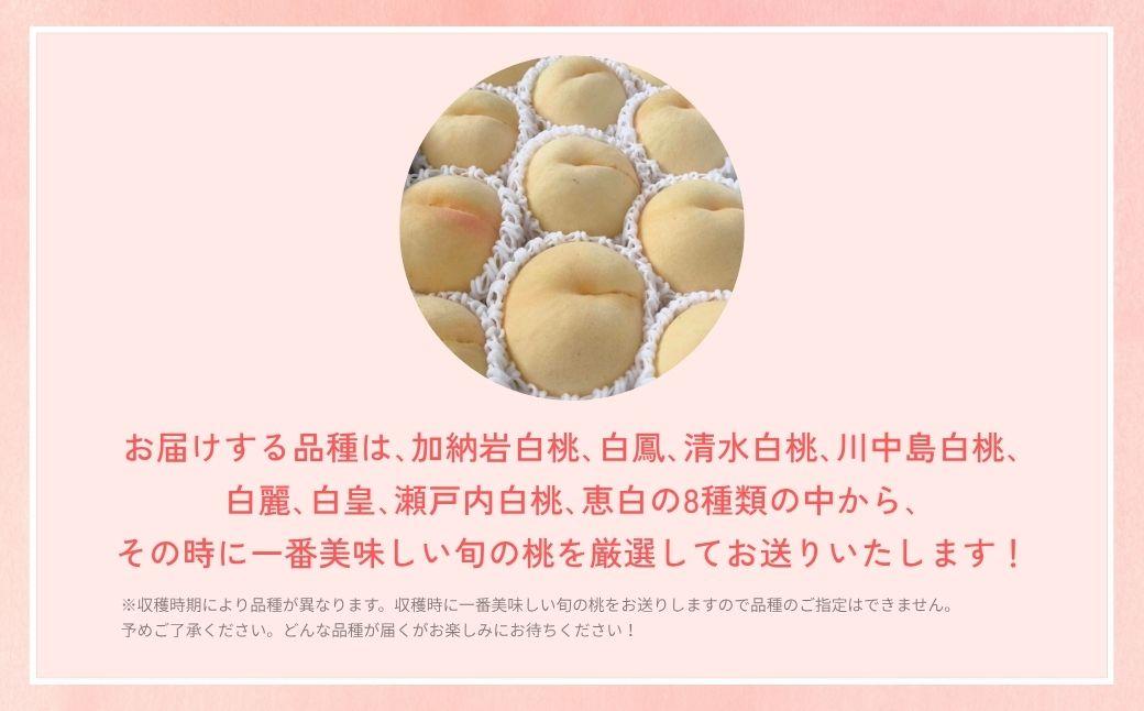 ＜数量限定＞［なんばふぁーむ］岡山県産 旬の桃 4.0kg（11～14玉）［ご家庭用］【2026年発送】 4.0kg（11～14玉）