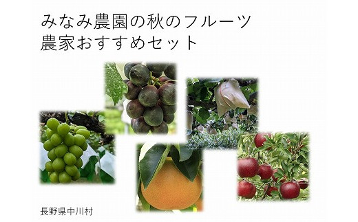 
                  【農家直送】みなみ農園おすすめ　旬の果物セット
                