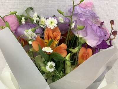 お花（生花）の6回定期便 花 定期便 生花 お花 鳥取県 倉吉市