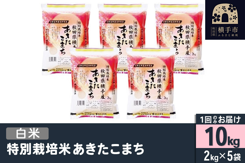 
【白米】令和6年産 特別栽培米 あきたこまち 10kg（2kg×5袋）
