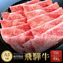 【ふるさと納税】飛騨牛A5 赤身肉 スライス 600g（300g×2パック）モモ 又は カタ 肉 ｜国産 肉 牛肉 焼肉 すき焼き しゃぶしゃぶ 和牛 黒毛和牛 赤身 グルメ A5等級 おすすめ AD120【飛騨牛 和牛ブランド 飛騨牛 黒毛和牛 飛騨牛 岐阜 大野町 飛騨牛】