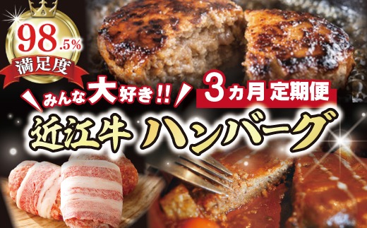 【期間限定】みんな大好き　ハンバーグ定期便【ZZ51U】