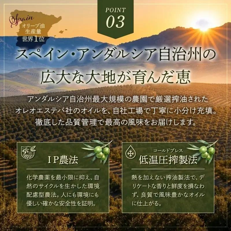 【6回定期便】オーガニック エキストラヴァージンオリーブオイル 500ml 2本セット 定期便 全6回 オリーブオイル エクストラバージン セット