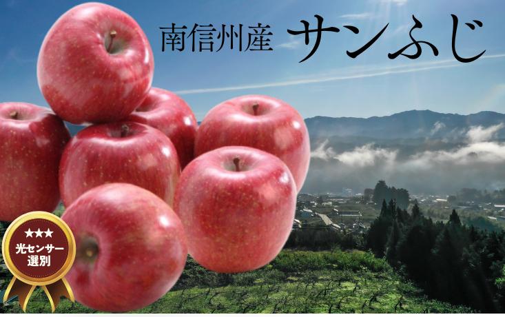 
            JA15-25A りんご サンふじ 約5kg / 2025年11月下旬～12月上旬ごろ配送予定 // 長野県 南信州 贈答 ギフト お歳暮 ふじ フジ さんふじ 新鮮 林檎 リンゴ サンフジ
          