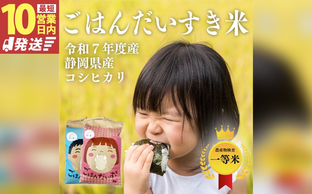
            【10営業日発送】【令和7年産】静岡県産コシヒカリ 玄米 10kg （5kg×2袋） 【2026年8月下旬迄順次発送予定】 コシヒカリ こしひかり 米 コメ こめ ご飯 ごはん 新米 菊川市 静岡県
          