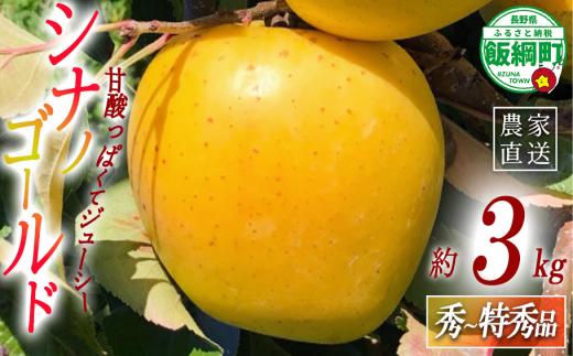 りんご シナノゴールド 秀 ～ 特秀 3kg ( 8 ～ 11玉 ) サイズおまかせ 関果樹園もりんご 沖縄県への配送不可 2026年11月上旬頃から2026年12月上旬頃まで順次発送予定 令和8年度収穫分 減農薬栽培 ネオニコチノイド系農薬不使用 信州 果物 フルーツ リンゴ 林檎 長野 予約 農家直送 長野県 飯綱町 [2087]
