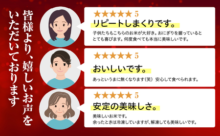 令和7年産 白銀の穂 10kg お米 お米