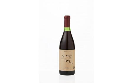 井筒ワイン 酸化防止剤無添加 井筒コンコード 赤甘口 720ml 2本セット 発売元 株式会社片山