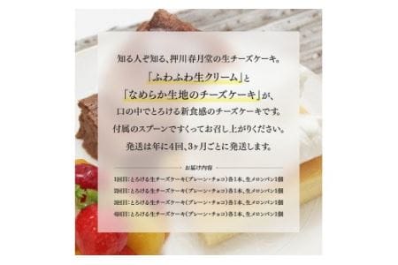 【定期便４回コース】とろける生チーズケーキ（プレーン・チョコ）+メロンパン【スイーツ ケーキ チーズケーキ プレーン チョコ 洋菓子ケーキ スプーンでケーキ  おまけつきケーキ 全4回】