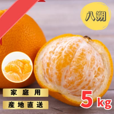 和歌山産　家庭用 完熟木なりハッサクみかん(八朔)　約5kg　M～2Lサイズ【訳あり・ご家庭用】【1520390】