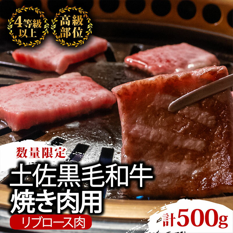 【ふるさと納税】 土佐 黒毛 和牛 焼肉用 500g | 特撰 リブロース ロース 最上位等級 A4 A5 最高ランク 贅沢 焼き肉 やきにく 小分け 冷凍 国産 ブランド 和牛 牛肉 大人気 ギフト おすすめ ランキング 限定 BBQキャンプ アウトドア 高知県 須崎 ふるさと納税和牛 TM009