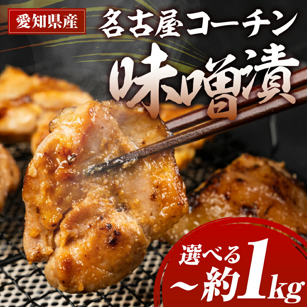 【ふるさと納税】名古屋コーチン味噌漬 400g ~ 800g 味付け肉 味付き肉 味付け 味付き 国産 もも むね 鶏肉 鳥肉 約 1kg 1キロ モモ ムネ もも むね 名古屋コーチン 地鶏 ブランド地鶏 とりもも とりむね 錦爽鶏 愛知県 豊橋市 肉 お肉 冷凍 愛知県 豊橋市
