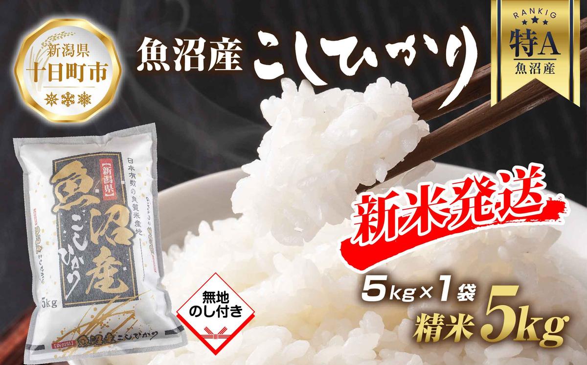 【令和6年産 新米予約】 無地熨斗 魚沼産 コシヒカリ 5kg 新米 農家のこだわり 新潟県 十日町市 お米 こめ 白米 コメ 食品 人気 おすすめ 送料無料