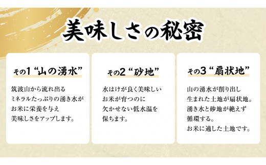 《 令和7年産 先行予約 》 コシヒカリ 「幻の米 羽鳥米」 10kg (5kg × 2袋) 筑波北麓秘蔵米 お米 ごはん 精米 コメ 白米 国産 茨城県 桜川市 限定 期間限定 数量限定 銘柄米 [