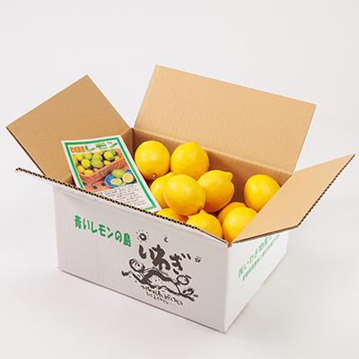 ふるさと納税 上島町 青いレモンの島　レモン約3kg |  | 03