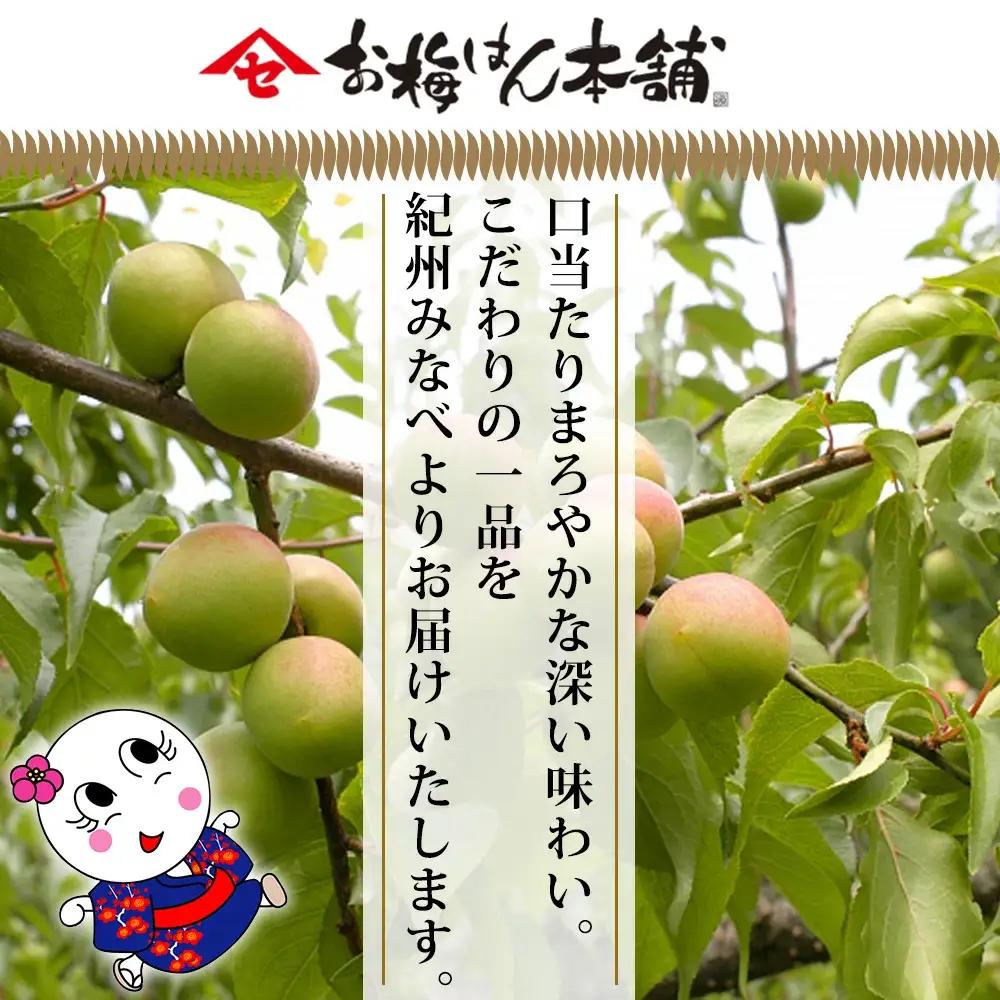 紀州はちみつ小町 700g【sekifz002B】