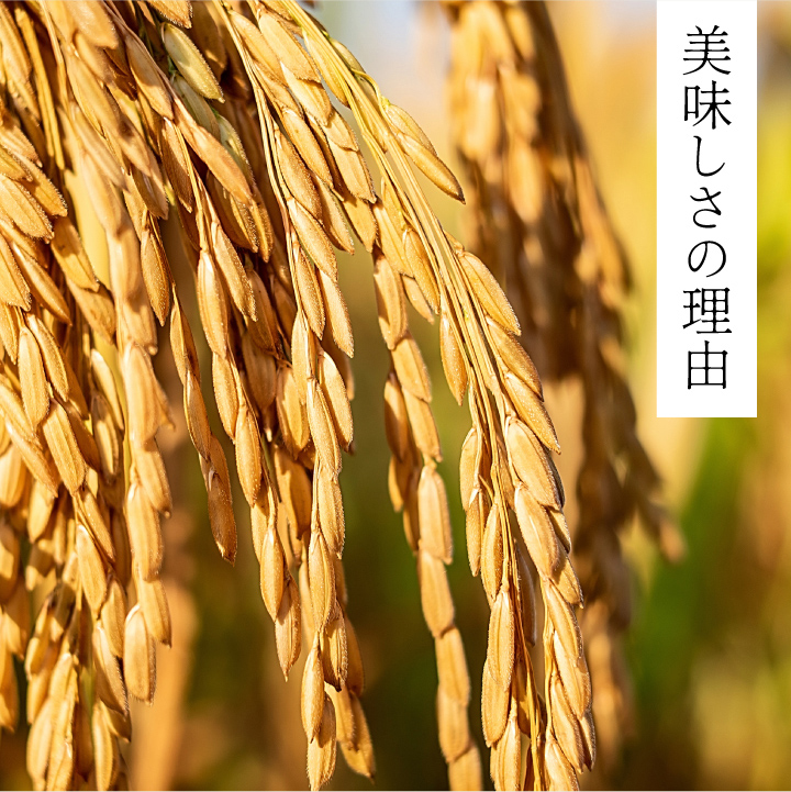 KT-01 大山カラス天狗 大山のこしひかり5kg