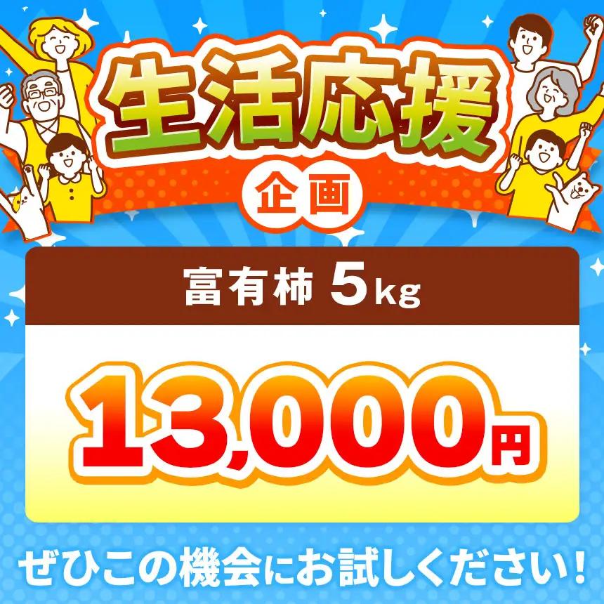  【 先行予約 】 富有柿 約5kg （17～20個） 選べる 内容量 日本野菜ソムリエ協会大賞受賞品 | 富有柿 かき フルーツ 柿 かき 果物 先行 予約 日本 野菜 ソムリエ 協会 大賞 受賞 