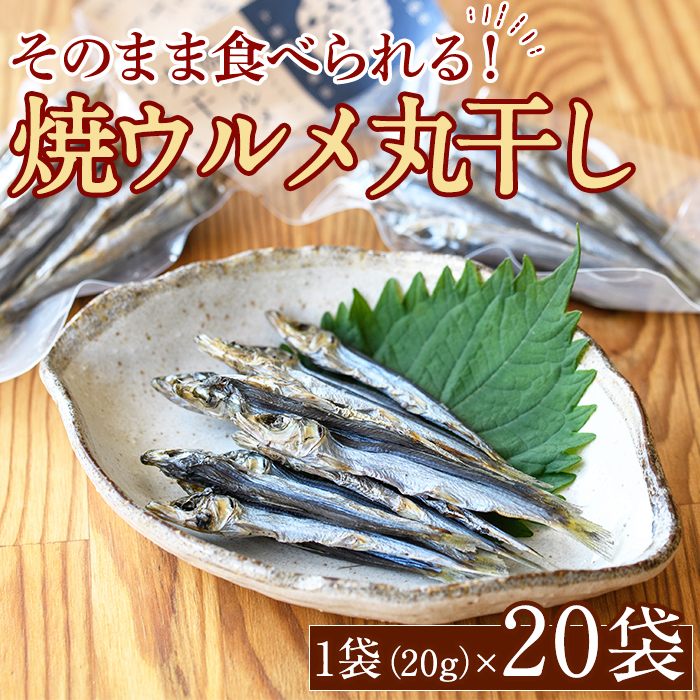 焼ウルメ丸干し20袋セット(20g×20袋)海産物 いわし 鰯 ウルメイワシ おつまみ おかず【下園薩男商店】a-31-5