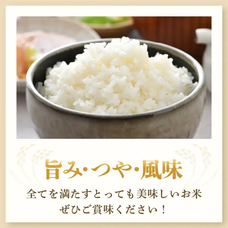 【先行予約】【令和8年産・新米】【一等米】いっちょらい 精米 10kg×1袋 ／ 福井県産 ブランド米 コシヒカリ ご飯 白米 お米 コメ 新鮮 大賞 受賞 新米 福井県あわら産 ※2026年9月下旬