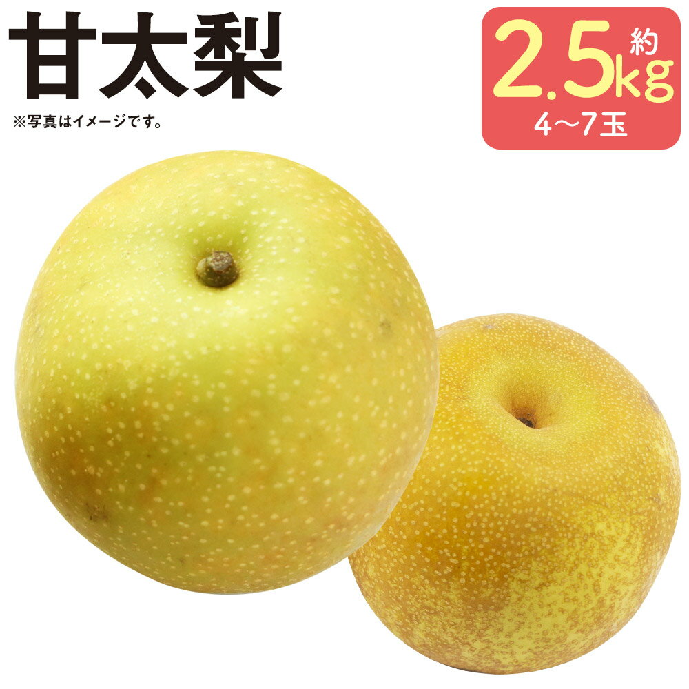 【ふるさと納税】毎床さんちのあまーい甘太梨 約2.5kg 4～7玉 なし フルーツ 果物 球磨郡産 熊本県産 九州産 人吉市 送料無料【2025年9月下旬から10月上旬迄順次発送予定】