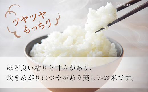 【令和5年産】北海道厚沢部産ななつぼし10kg ASG015