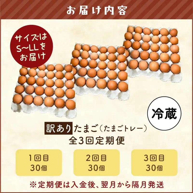 【 全3回 定期便 】 訳あり たまご （ たまごトレー ） T074-T02 卵