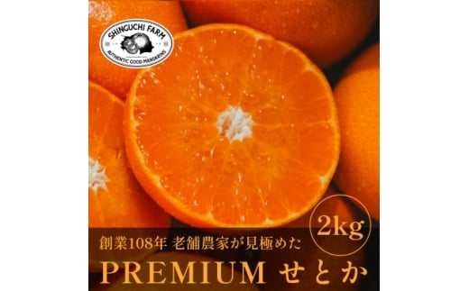 ＜数量限定＞老舗農家が見極めたプレミアム＜せとか2kg＞柑橘の大トロ＜愛媛県川上産＞＜C70-96＞【1671344】