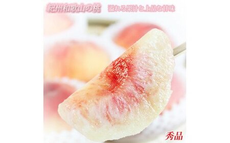 秀品　紀州和歌山産の桃　３玉　化粧箱入【2026年6月下旬頃～2026年8月上旬頃に順次発送予定】【UT105】【Z91061-uot750】