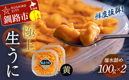 【鮮度抜群！特選・極上えぞバフンうに【黄】】塩水詰め100g×2個 ふるさと納税 うに F4F-0467