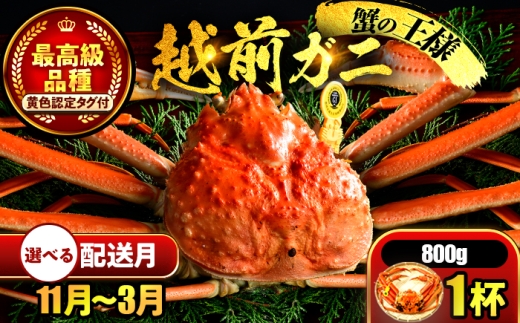 【先行予約】 【12月配送】 越前がに 800ｇ×1杯 小浜市 / まるほ商店 【配送不可地域：北海道・沖縄・離島】[BFCS024-12]
