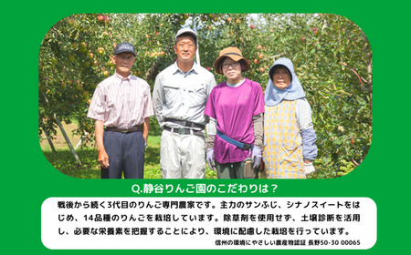 りんごジュース 1000ml × 6本 沖縄県への配送不可 静谷りんご園 減農薬栽培 完熟 サンふじ 果汁100％ 信州の環境にやさしい農産物認証 長野県 飯綱町 [0633]