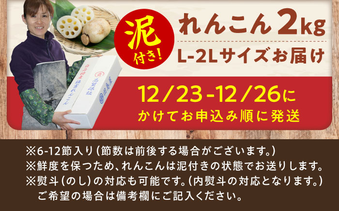 【先行予約】【年末発送】田島屋れんこん 2kg（泥付き） / 蓮根 / 佐賀県 / 田島屋れんこん [41ASDA004]