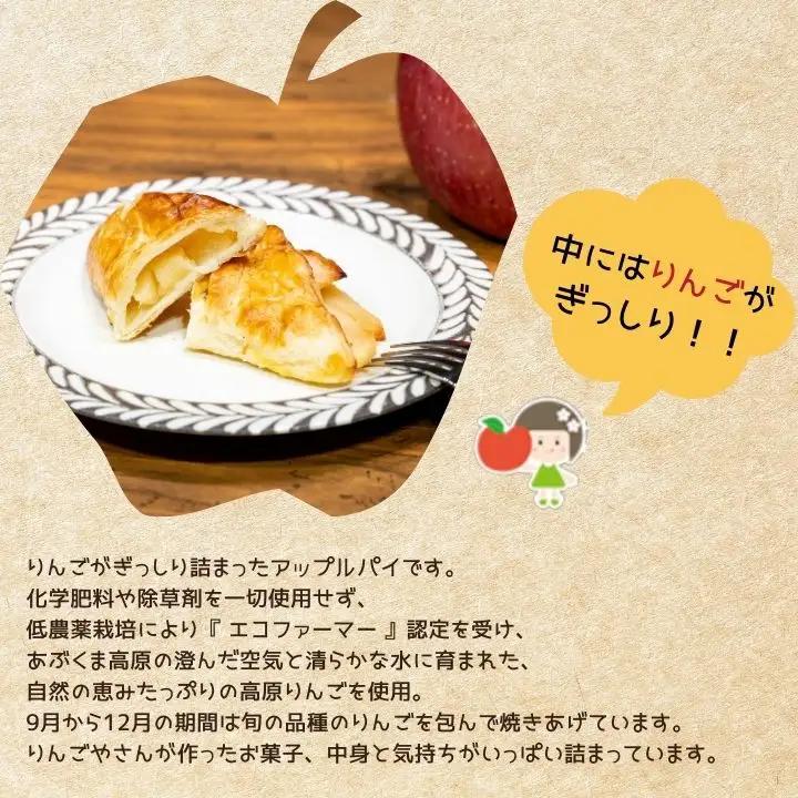 《2026年9月以降順次発送》はみだしりんごのアップルパイ 8個入【菊地合名会社】