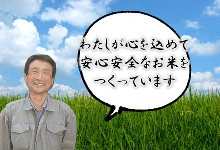 【3か月定期便】特別栽培米 コシヒカリ 5kg×3回 新潟県認証 1G14030