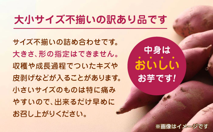 【数量限定】さつまいも 紅はるか or シルクスイート 蜜芋 10kg【合同会社 福福堂】 [ZCN001]
