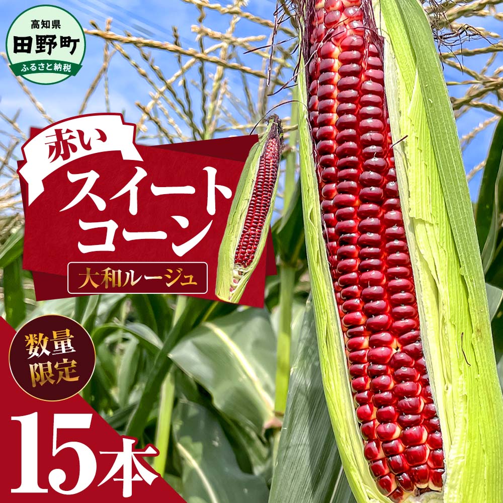 【ふるさと納税】赤いスイートコーン 大和ルージュ 15本 とうもろこし トウモロコシ 2025年6月中旬頃より発送開始予定 数量限定 コーン 新鮮 野菜 蒸し 焼き おいしい 甘い 生鮮食品 赤い 国産 お取り寄せ 冷蔵配送 高知県 故郷納税 12500円 赤いトウモロコシ