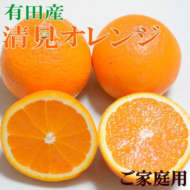 【ふるさと納税】【選べる容量】【濃厚】有田産清見オレンジ 約5kg または 約7.5kg (サイズおまかせ) ご家庭用訳アリ＜2026年2月中旬～2026年3月中旬頃より順次発送＞/オレンジ 清見 ミカン みかん 家庭用　訳アリ