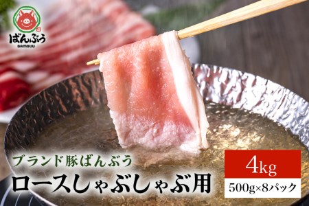 ブランド豚「ばんぶぅ」小分け ロースしゃぶしゃぶ用 4kg（500g×8パック） 冷凍便 4キロ 豚肉 豚しゃぶ 豚ロース スライス肉 薄切り肉 うす切り肉 ぶた肉 すき焼き用 すきやき用 ブタ肉 国産 茨城県産 ギフト プレゼント 高級部位 ４２－ＡＦ