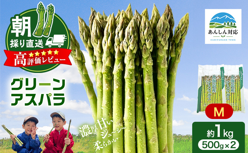 【令和9年産】2027年発送 先行予約 アスパラ 専門農家 の 特選 グリーンアスパラ 1kg M アスパラガス 原農園 朝採りアスパラ 野菜 北海道 上富良野町 グリーンアスパラ