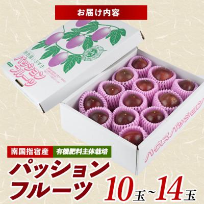 ふるさと納税 指宿市 【2026年 発送】パッションフルーツ10玉〜14玉(010-2058) |  | 03