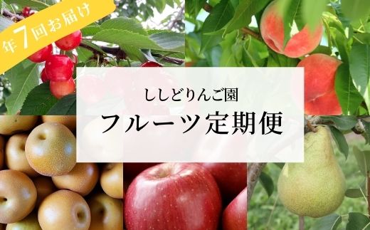 【ふるさと納税】No.2247フルーツ7回定期便ミニコース【2025年発送】