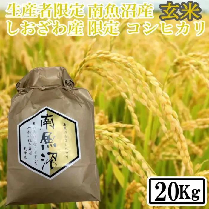 【令和7年】【20kg】玄米 しおざわ産限定 生産者限定 南魚沼産コシヒカリ｜玄米