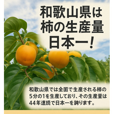 【2026年10月以降発送】あさみ農園の紀の川柿　11～15個
